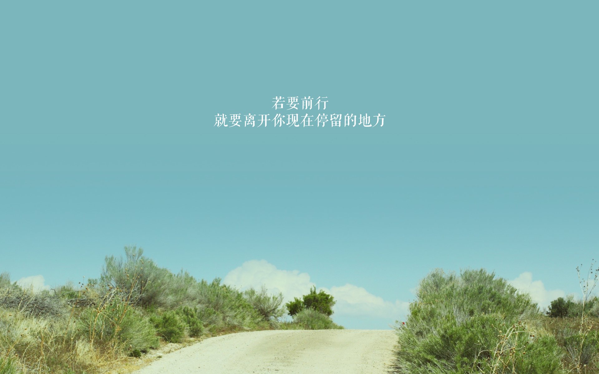 足球数据平台上线,提供全面信息,足球数据哪个网站好