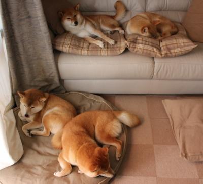 九游jiuyou-EDG赛季关键战役精彩回顾，edg最佳战绩