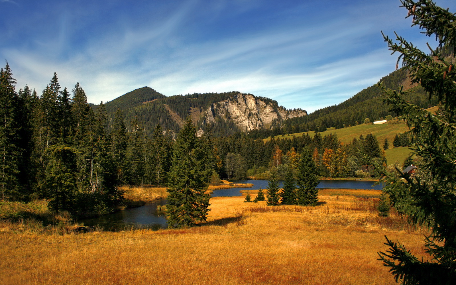 九游娱乐APP-塞内加尔男足在巴黎奥运会比赛中以3-0战胜美国，塞内加尔足协