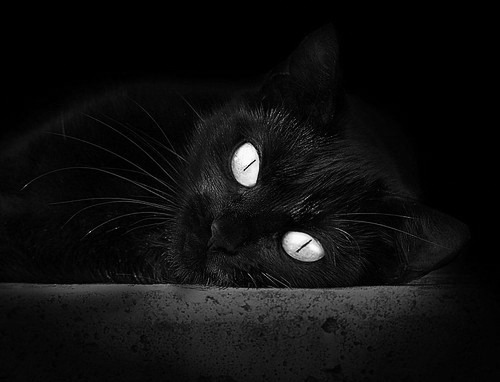 职业篮球赛事数据分析工具,篮球数据分析报告