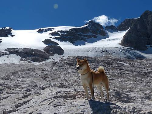阿斯顿维拉主帅赛前表态强调团结，球队备战信心十足，阿斯顿维拉阵型