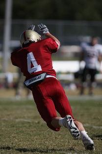 九游娱乐APP-五大联赛的魅力：不同国家球队的差异化风格，5大联赛球队综合实力排名