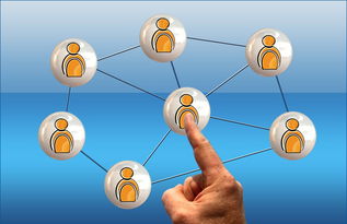 九游娱乐(jiuyou)官网-2024年国际乒联混合团体世界杯：德国队顽强拼搏，2024世乒赛