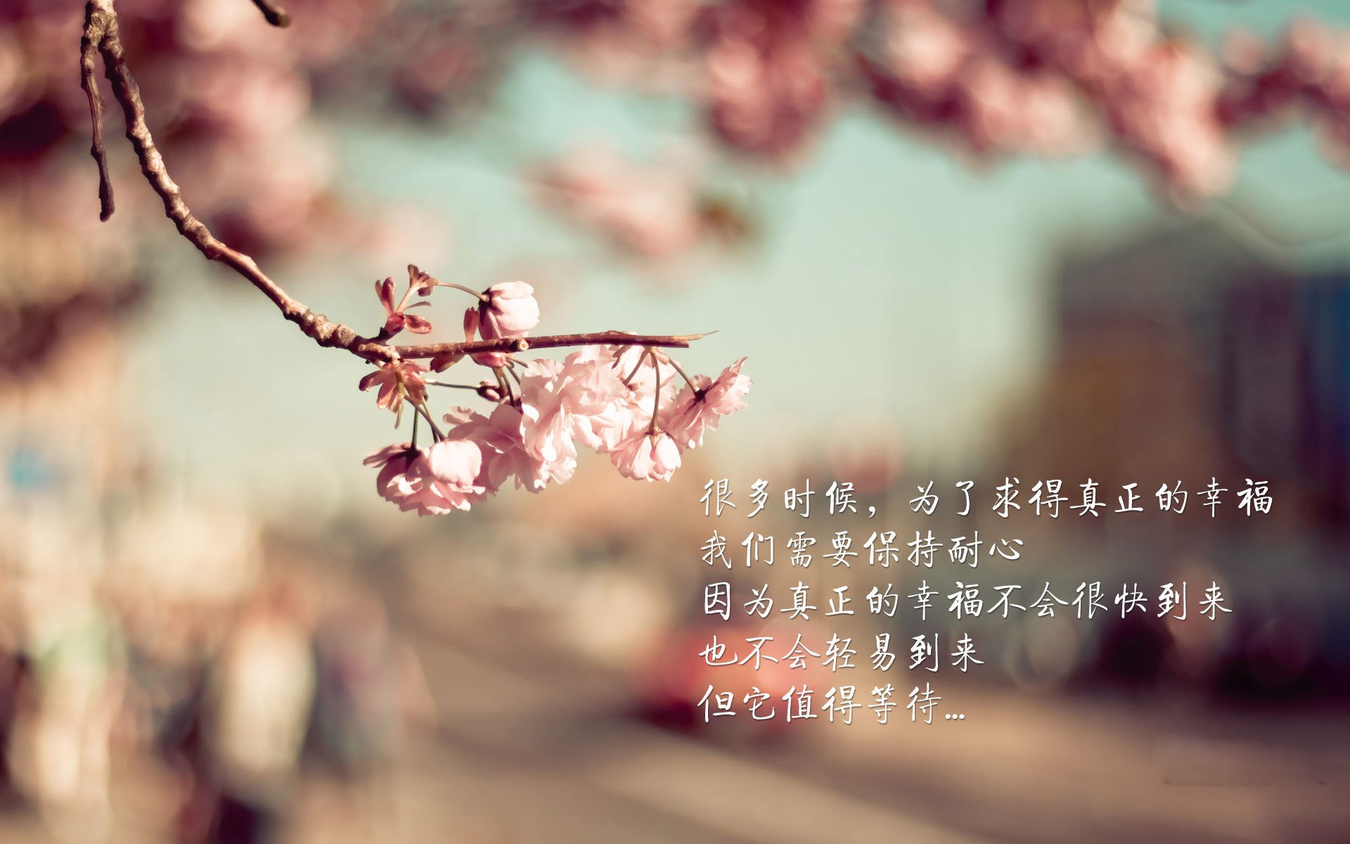 印度乒乓赛制解析:多元化赛事体系如何促进发展,印度乒乓球名将