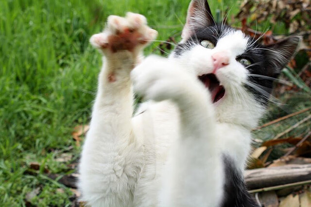 田径测试赛设置全风速捕捉系统提升精度，田径测风速的标准