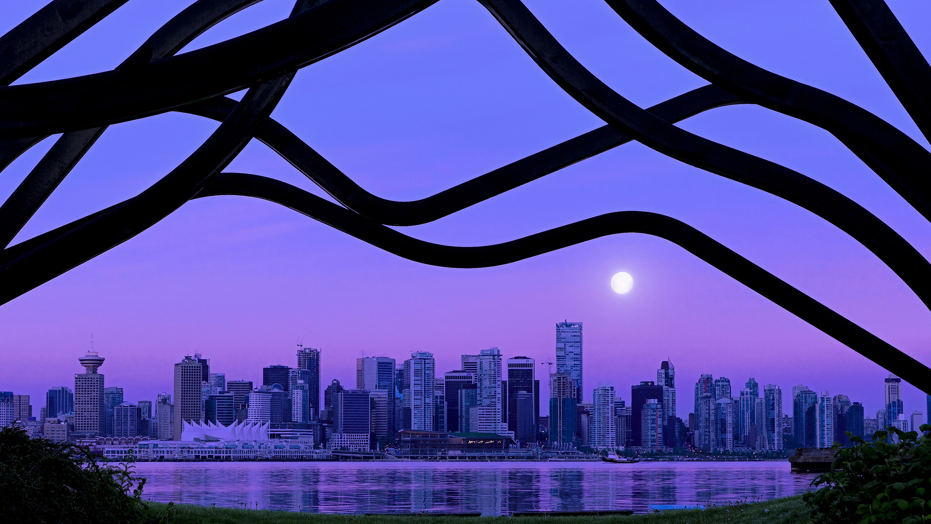 九游app官网下载-女子蛙泳希腊代表团再创佳绩，女子蛙泳冠军是谁