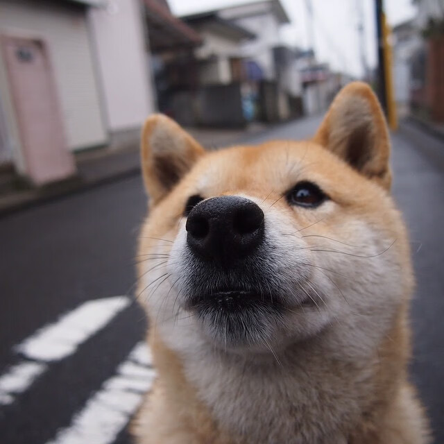 篮球联赛视频分析服务面向基层教练开放，篮球培训视频