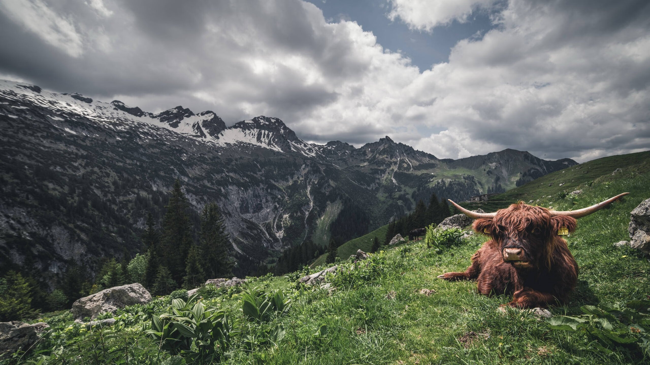 青海男篮在国际友谊赛中表现抢眼，迎头赶上世界强队
